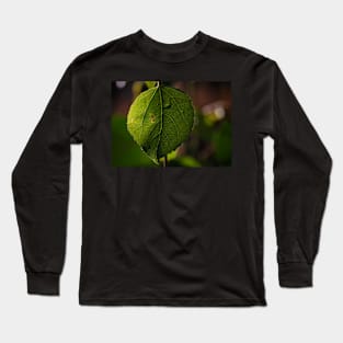 Green Leaf on a Bokeh Background Poster Long Sleeve T-Shirt